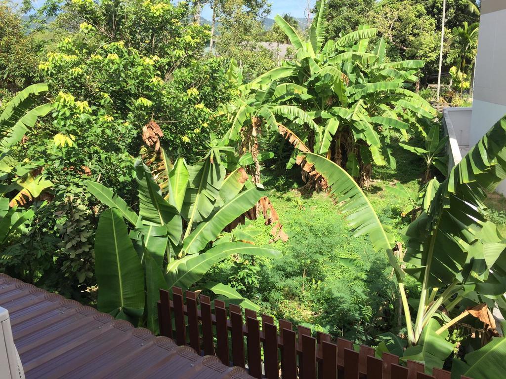 Samui Paca Place Mae Nam Bagian luar foto